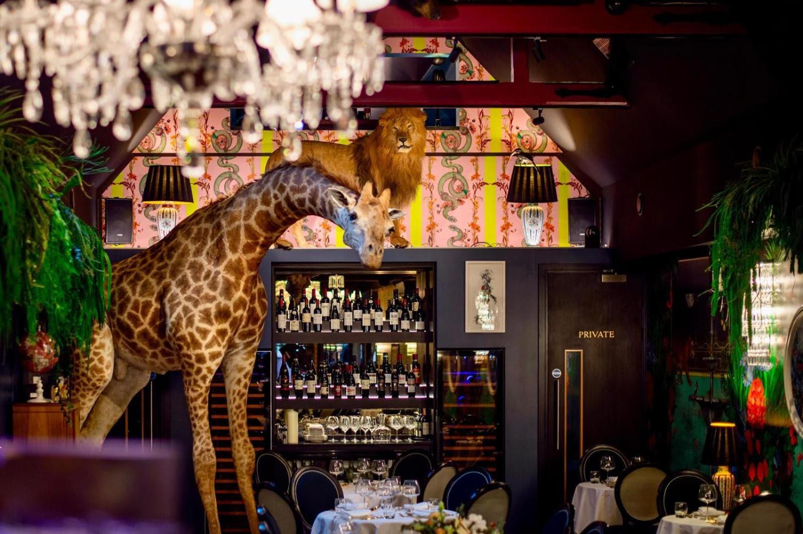 Hux Hotel, Kensington لندن المظهر الخارجي الصورة